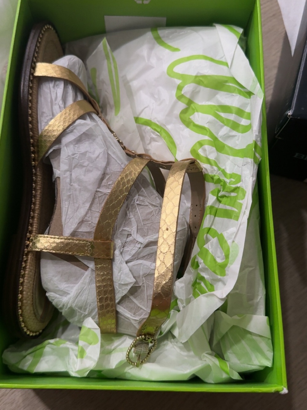 Gold Strappy Women's Sandals - Elegant Metallic Flat Sandal Sam Edelman